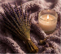 Lavender Dreams